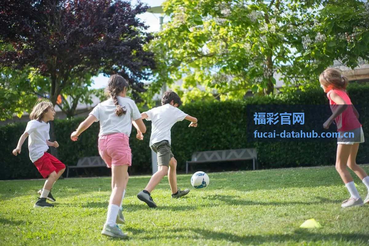 福彩官网数据分析工具